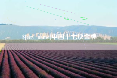 青州中国十七块金牌