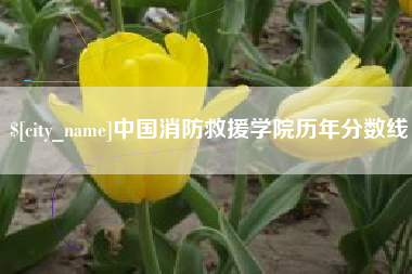 青州中国消防救援学院历年分数线