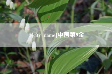 青州中国第9金