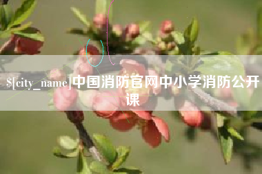 青州中国消防官网中小学消防公开课