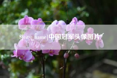 青州中国冠军头像图片