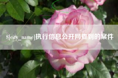 青州执行信息公开网查到的案件