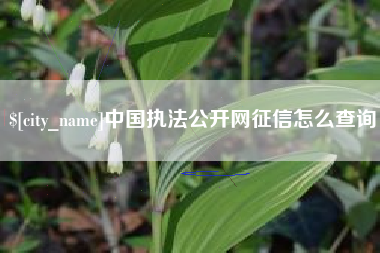 青州中国执法公开网征信怎么查询