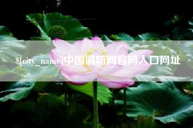 青州中国消防网官网入口网址