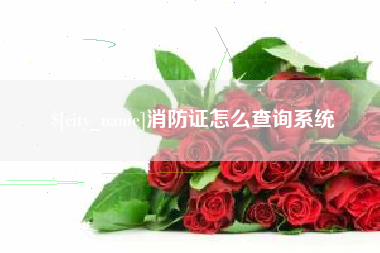 青州消防证怎么查询系统