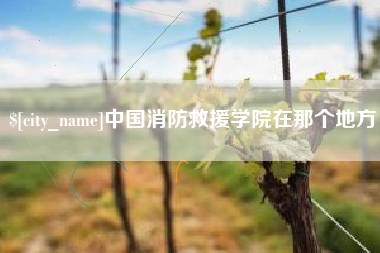 青州中国消防救援学院在那个地方