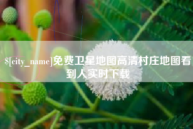 青州免费卫星地图高清村庄地图看到人实时下载