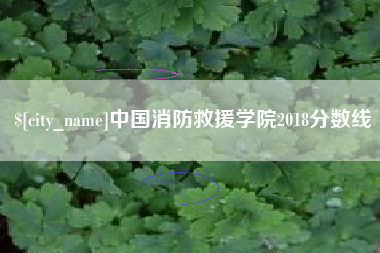 青州中国消防救援学院2018分数线