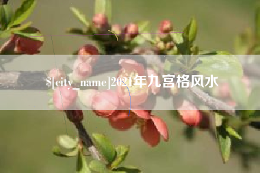 青州2021年九宫格风水