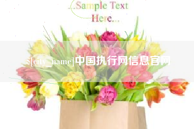 青州中国执行网信息官网