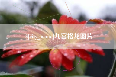 青州九宫格龙图片