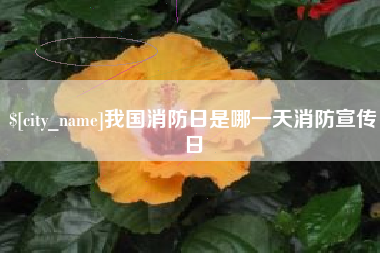 青州我国消防日是哪一天消防宣传日