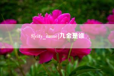 青州九金是谁
