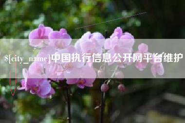 青州中国执行信息公开网平台维护