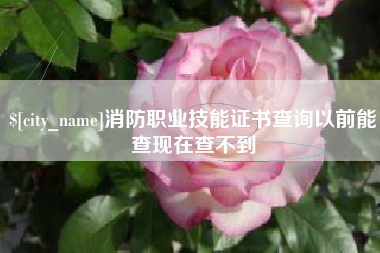 青州消防职业技能证书查询以前能查现在查不到