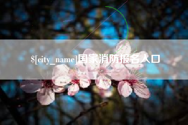 青州国家消防报名入口