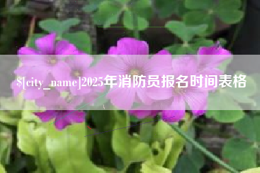 青州2025年消防员报名时间表格