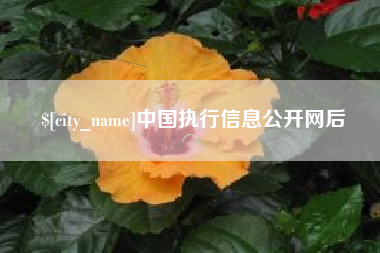 青州中国执行信息公开网后
