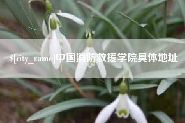 青州中国消防救援学院具体地址