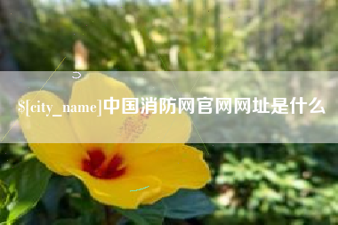 青州中国消防网官网网址是什么