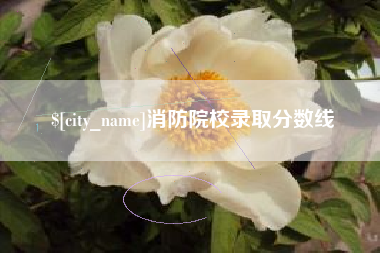 青州消防院校录取分数线