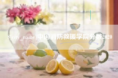青州中国消防救援学院分数2020