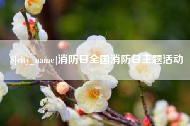 青州消防日全国消防日主题活动