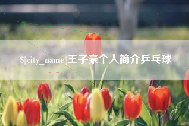 青州王子豪个人简介乒乓球
