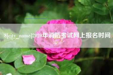 青州2020年消防考试网上报名时间
