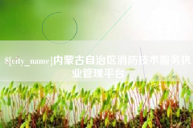 青州内蒙古自治区消防技术服务执业管理平台