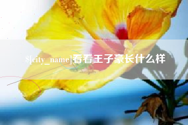 青州看看王子豪长什么样