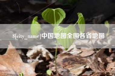 青州中国地图全图各省地图