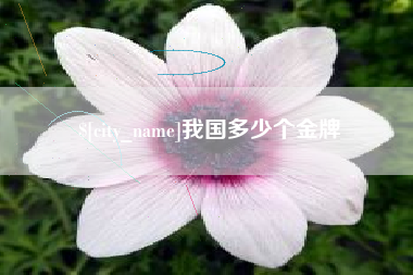 青州我国多少个金牌