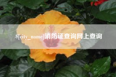青州消防证查询网上查询