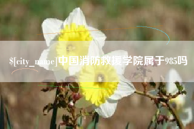 青州中国消防救援学院属于985吗