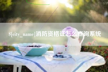 青州消防资格证怎么查询系统