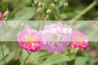 青州第九金是