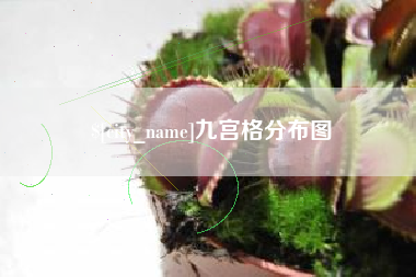 青州九宫格分布图
