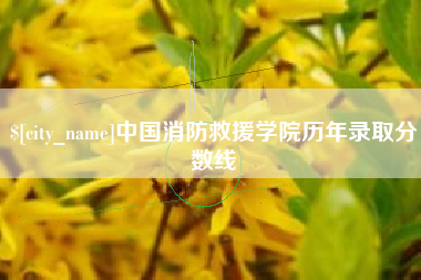 青州中国消防救援学院历年录取分数线