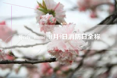 青州11月9日消防日全称