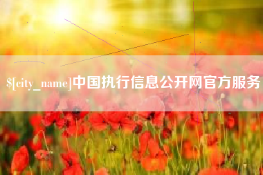 青州中国执行信息公开网官方服务