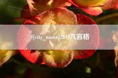 青州2019九宫格