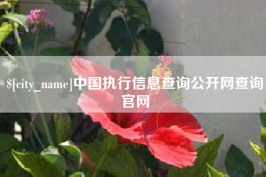 青州中国执行信息查询公开网查询官网