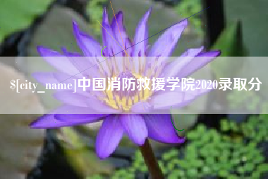 青州中国消防救援学院2020录取分
