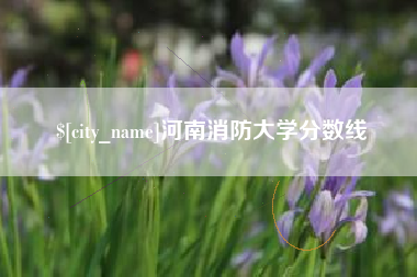 青州河南消防大学分数线