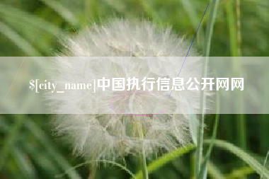 青州中国执行信息公开网网