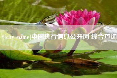 青州中国执行信息公开网 综合查询