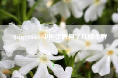 青州中国金牌得了几枚金牌