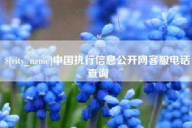 青州中国执行信息公开网客服电话查询
