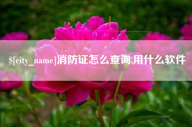青州消防证怎么查询,用什么软件